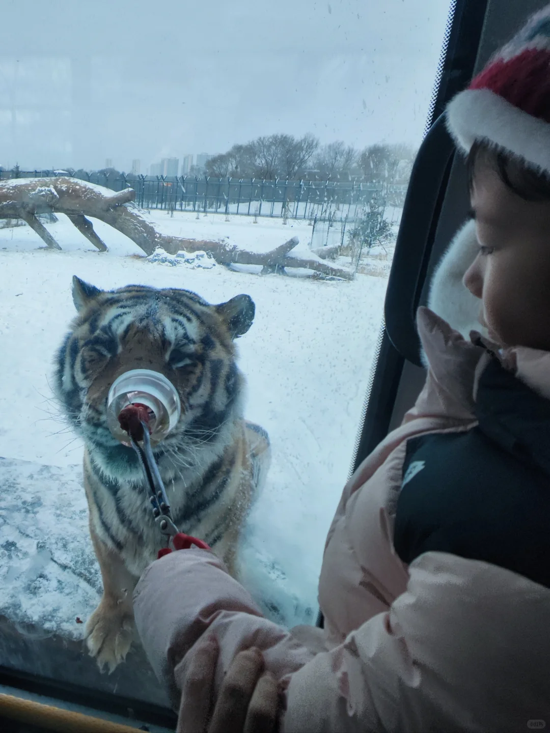 6年亲子游：娃眼里最好玩的6个地方