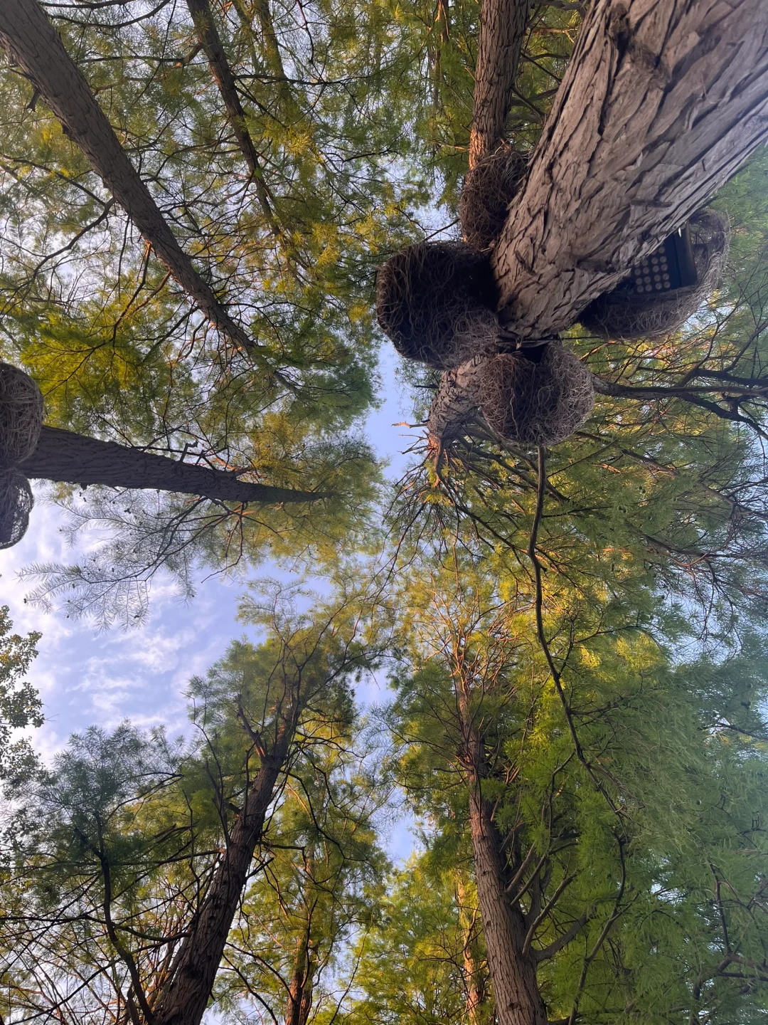 东湖听涛景区 i人的散步天堂🌈