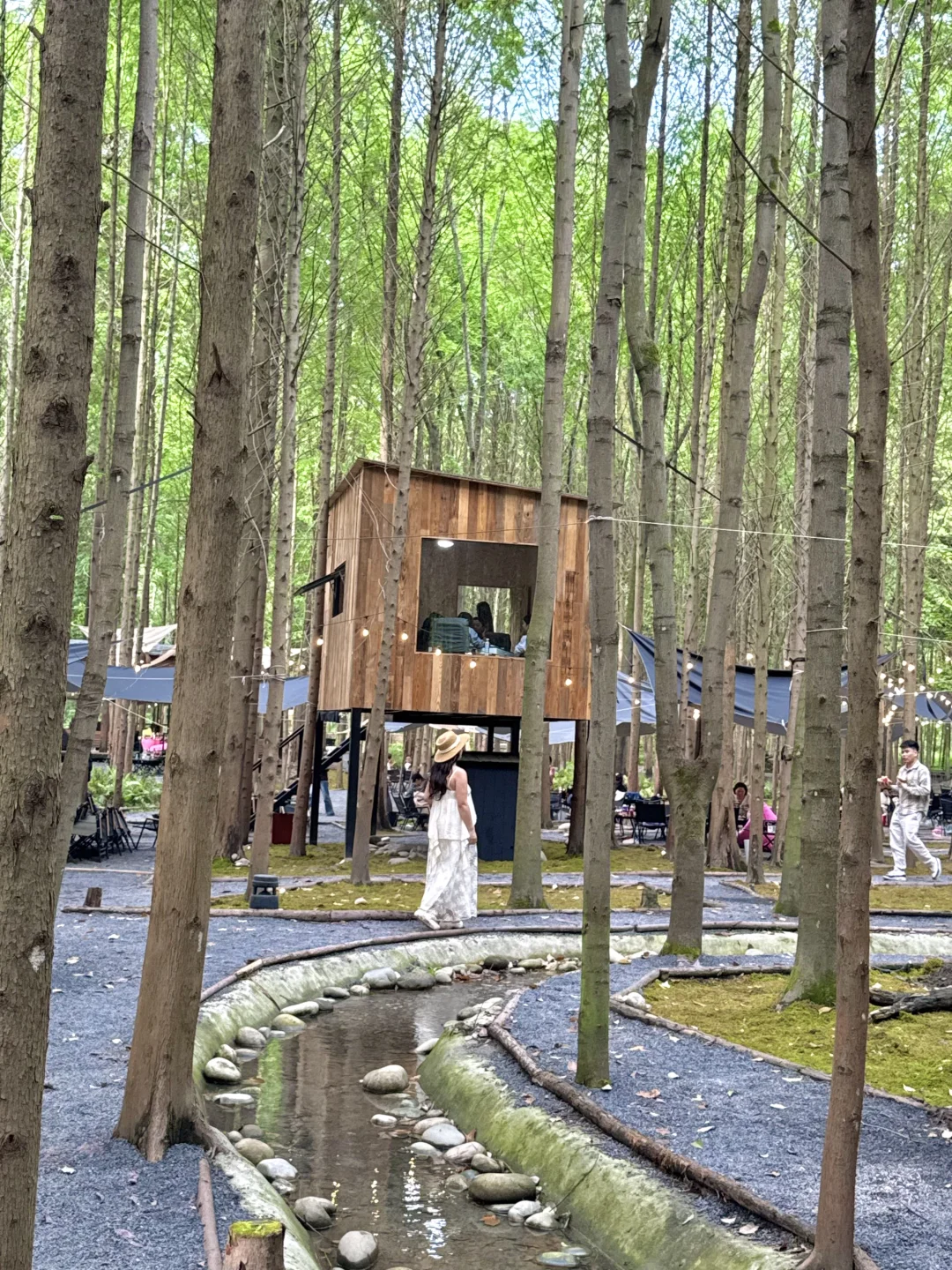 🍃五一还没想好去哪？冲这个神仙森林营地！！