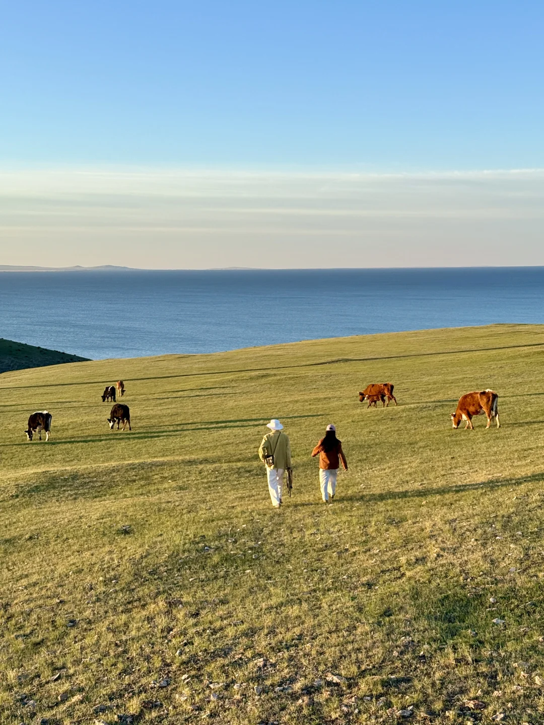 live图 不敢相信，草原的尽头是大海～