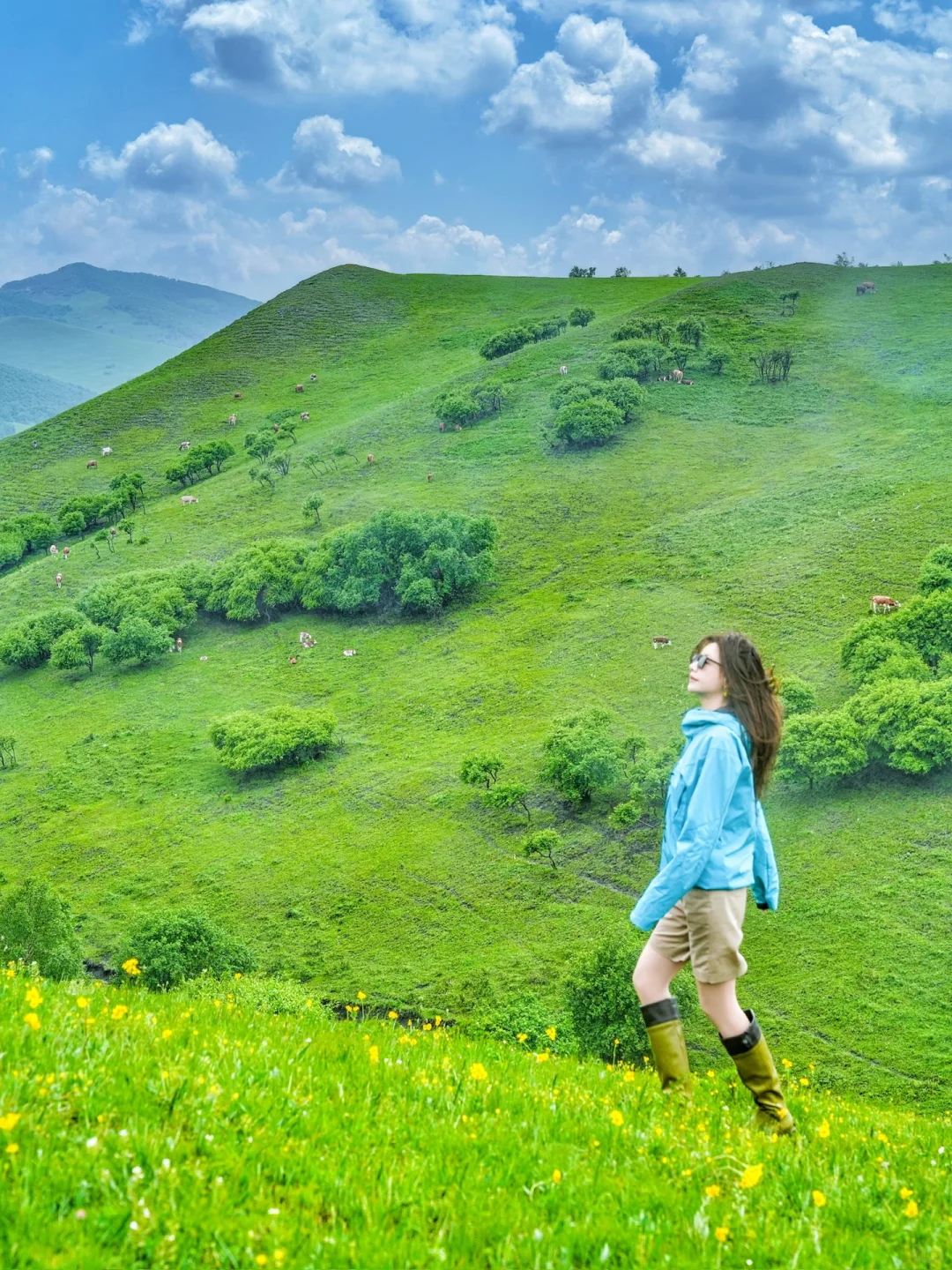 北京自驾天堂🚗京郊阿勒泰❗️20 ℃的漫画草原