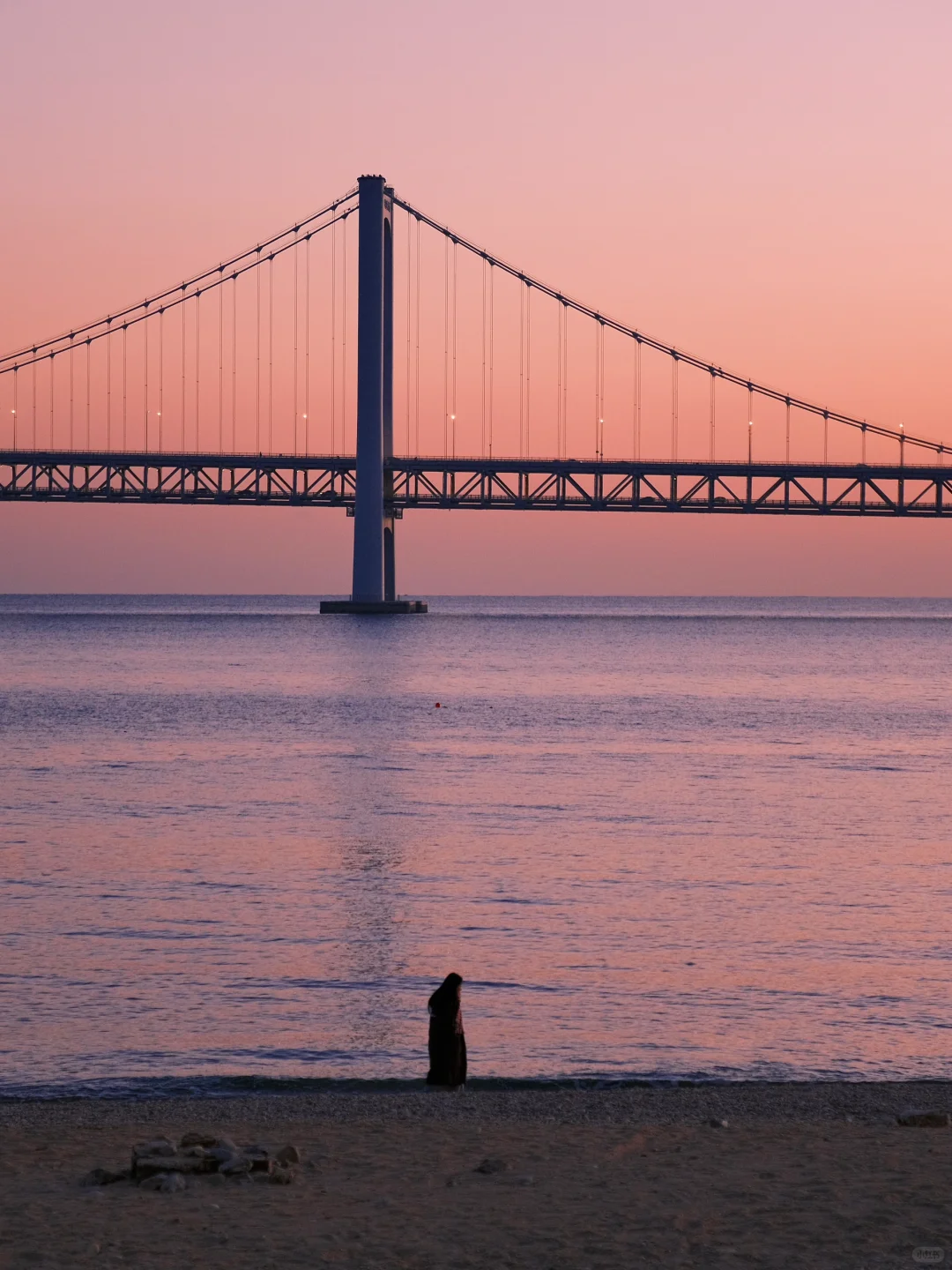 海边城市才有的lalaland…美在了我的心尖上