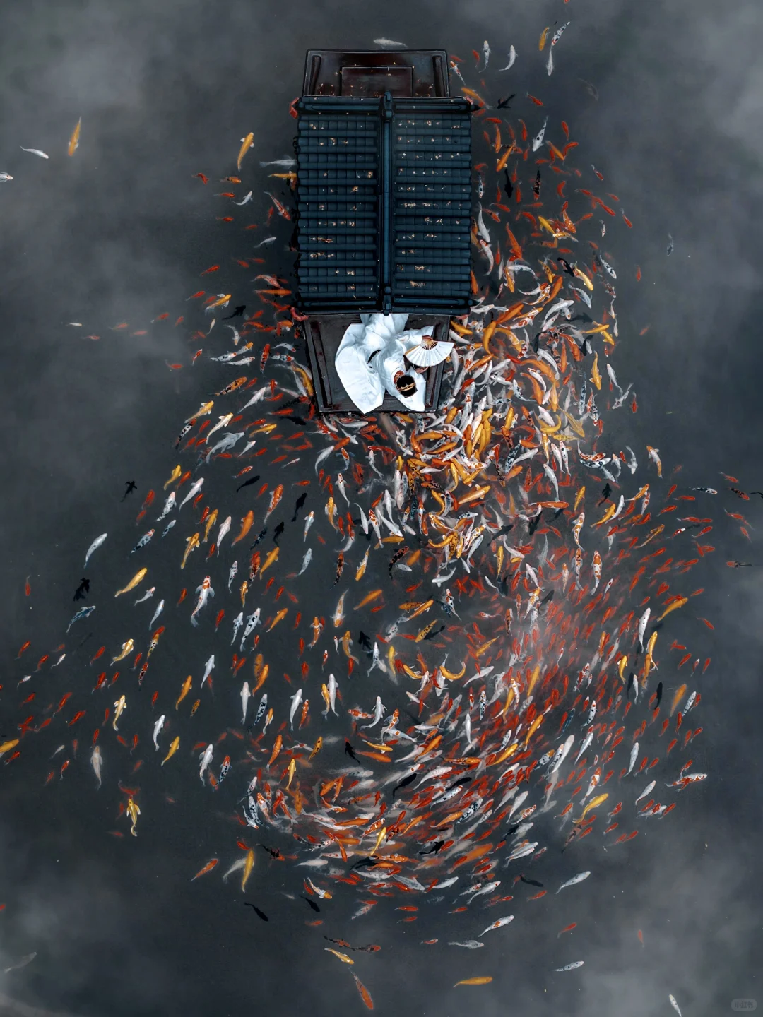 李白诚不欺我！在这里拍到了「手可摘星辰」🌌