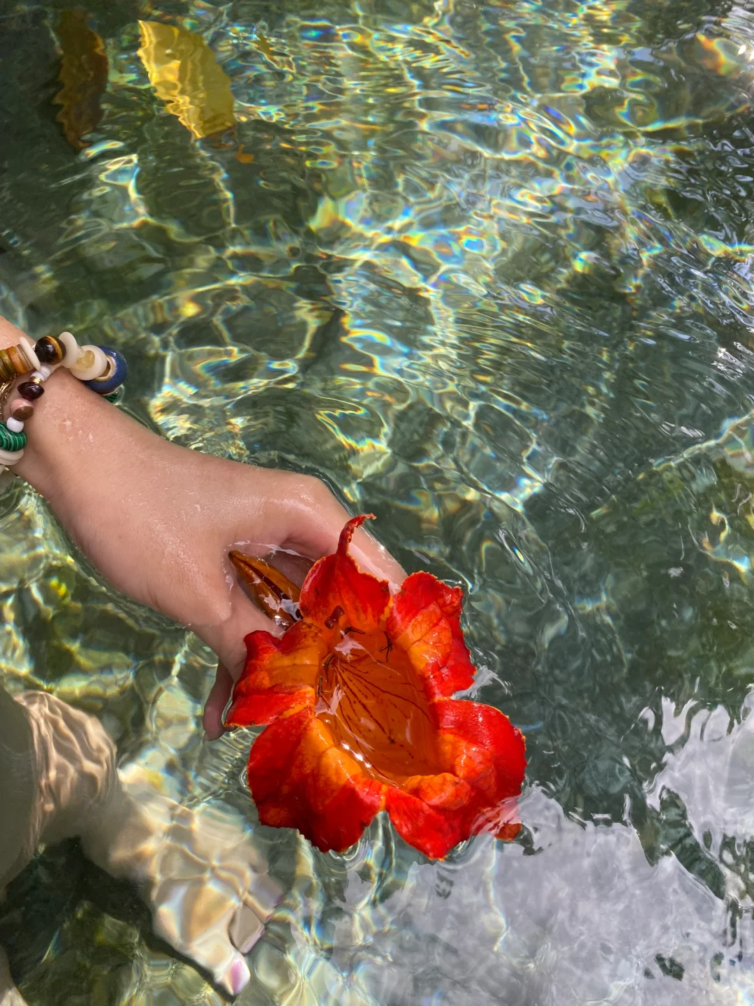 🌸误入人间仙境🍃