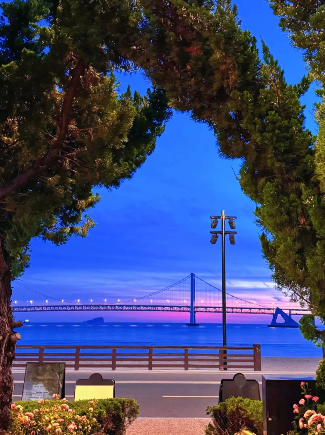 迄今为止，我最喜欢的海边城市出现了