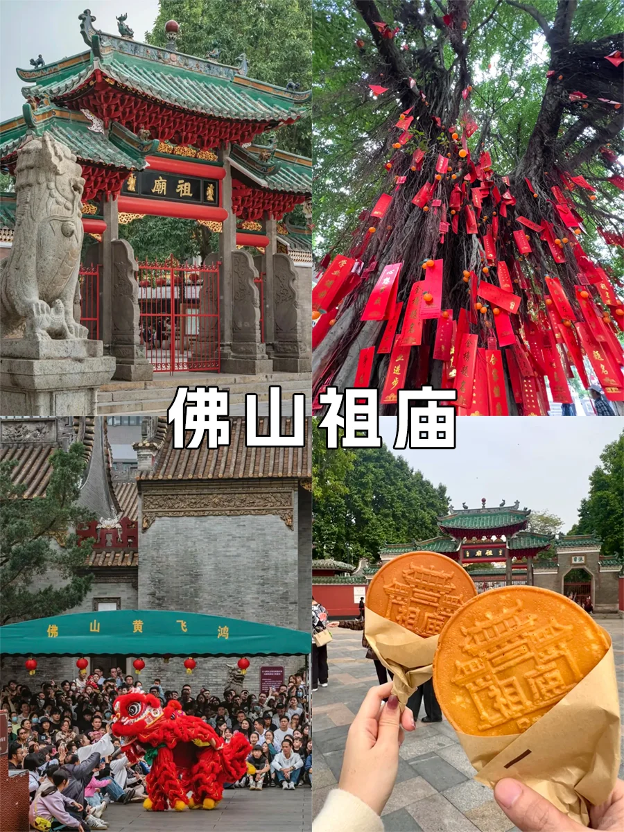 ✈️6-8月淡季去广东,一定要这样玩❗️