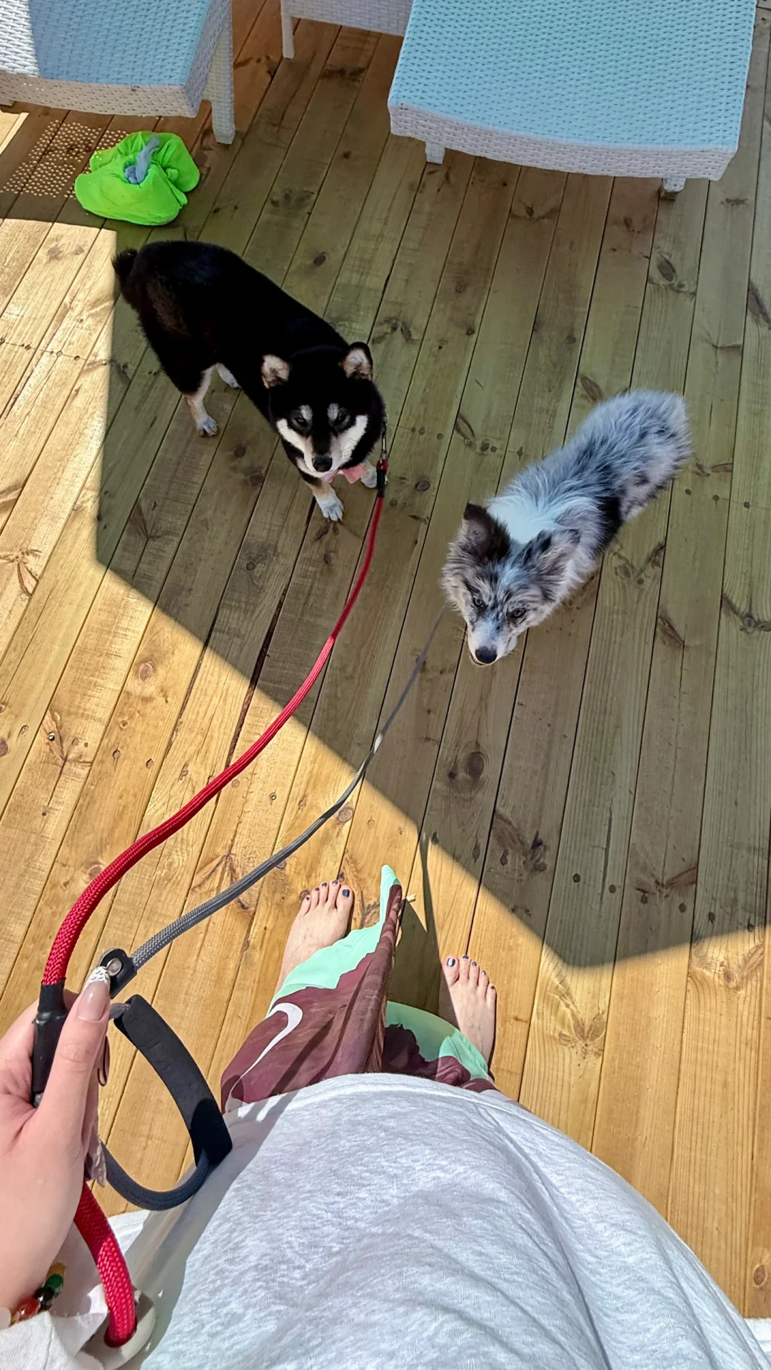 🏜️𝖉𝖊𝖘𝖊𝖗𝖙🐫内蒙的马尔代夫🏝️