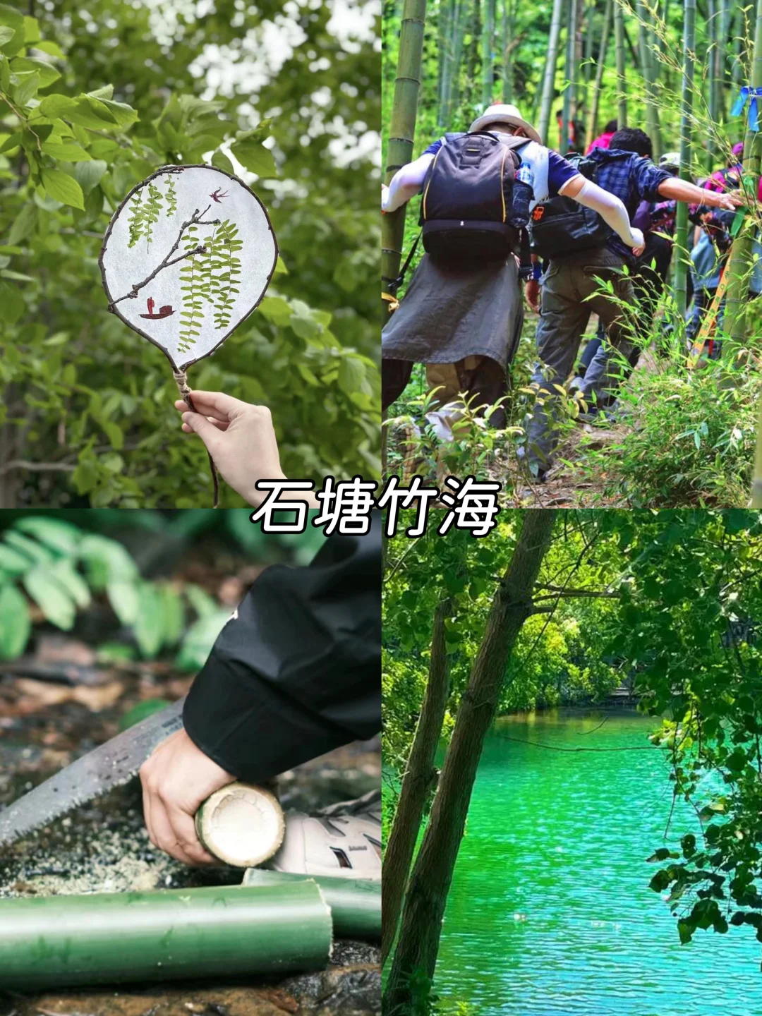 🌿南京夏季避暑团建攻略💦玩转清凉秘境！