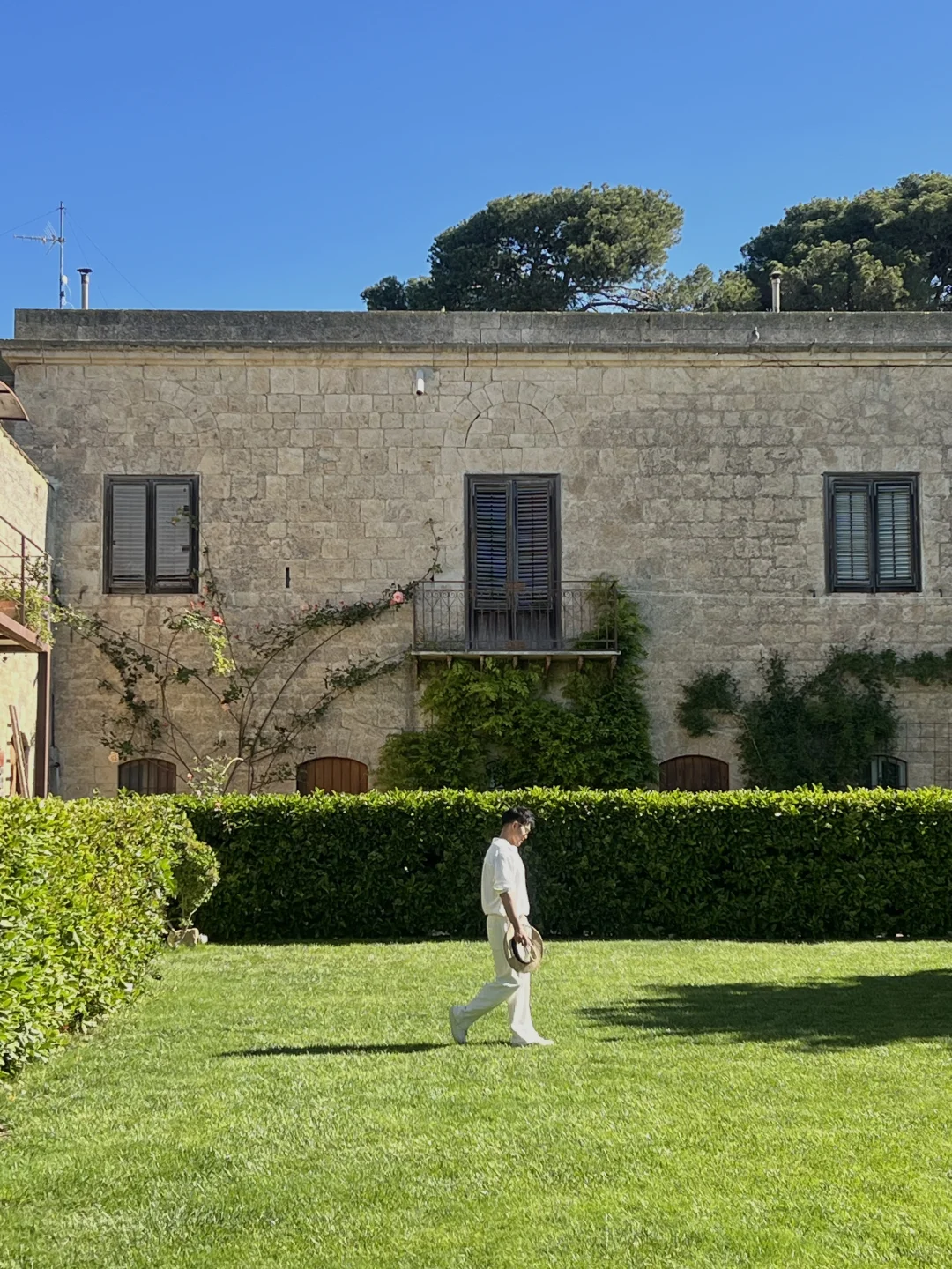 live图的意义｜属于西西里岛的夏日长梦