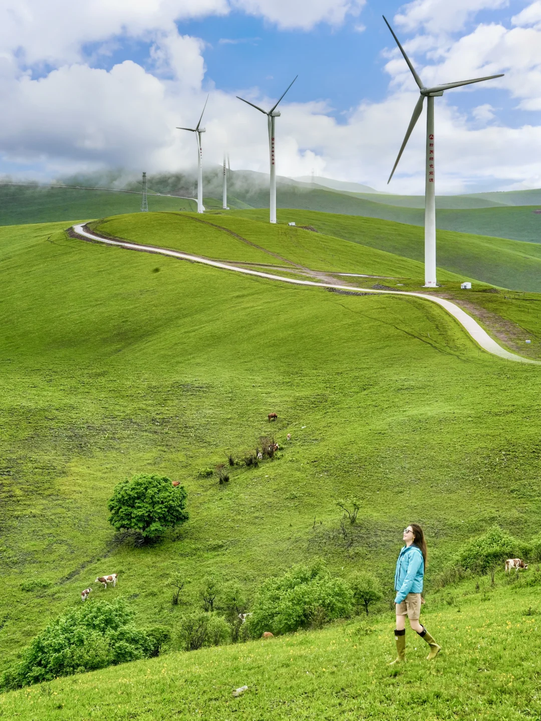 北京自驾天堂🚗京郊阿勒泰❗️20 ℃的漫画草原