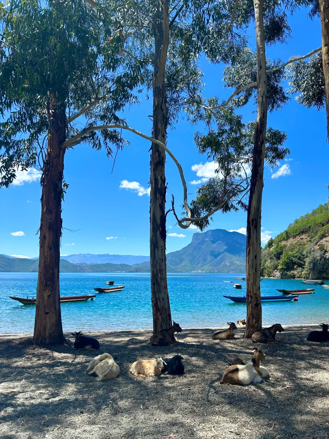 6.7泸沽湖live 晴天的泸沽湖每一帧都很美
