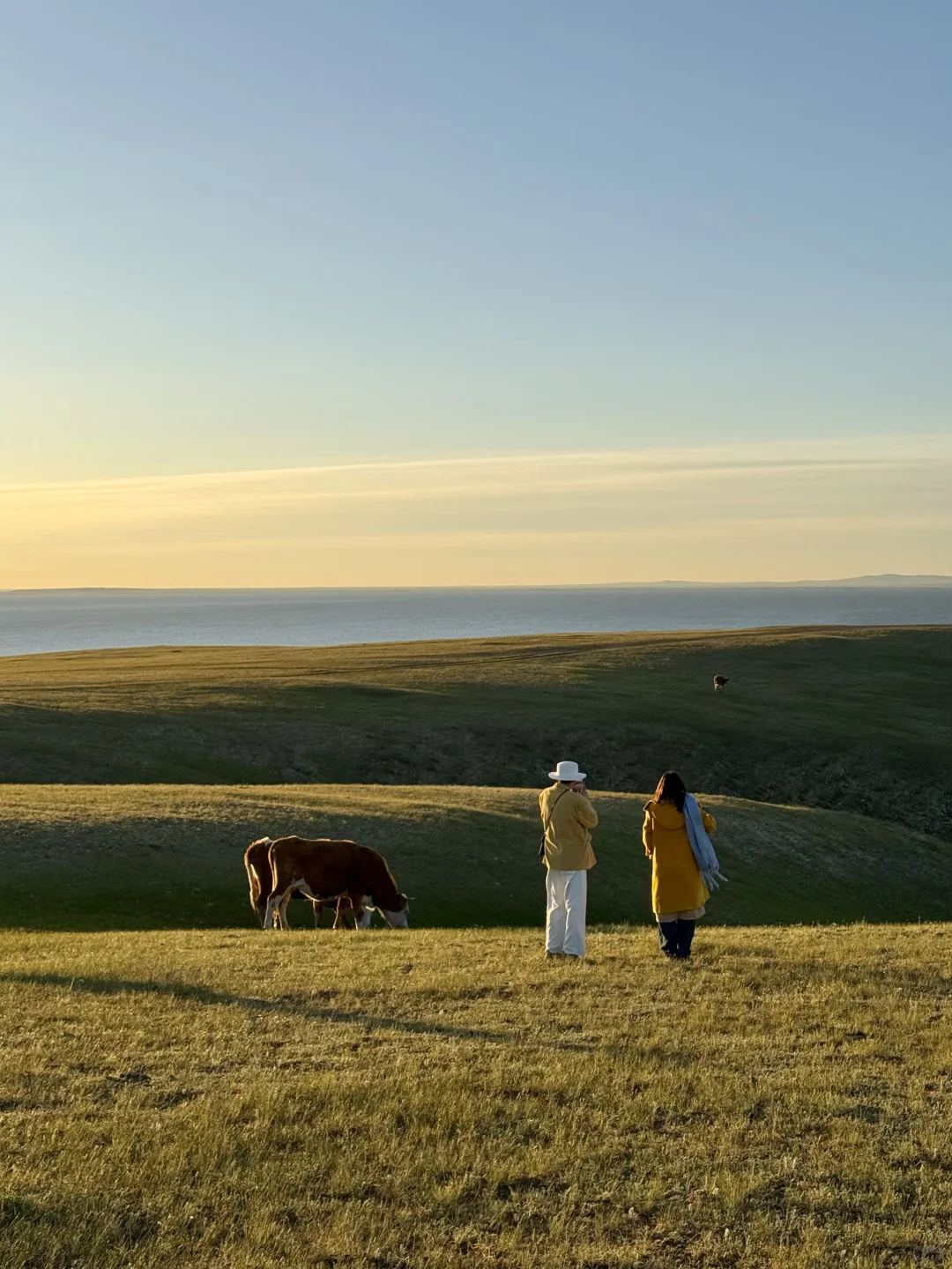 live图 不敢相信，草原的尽头是大海～