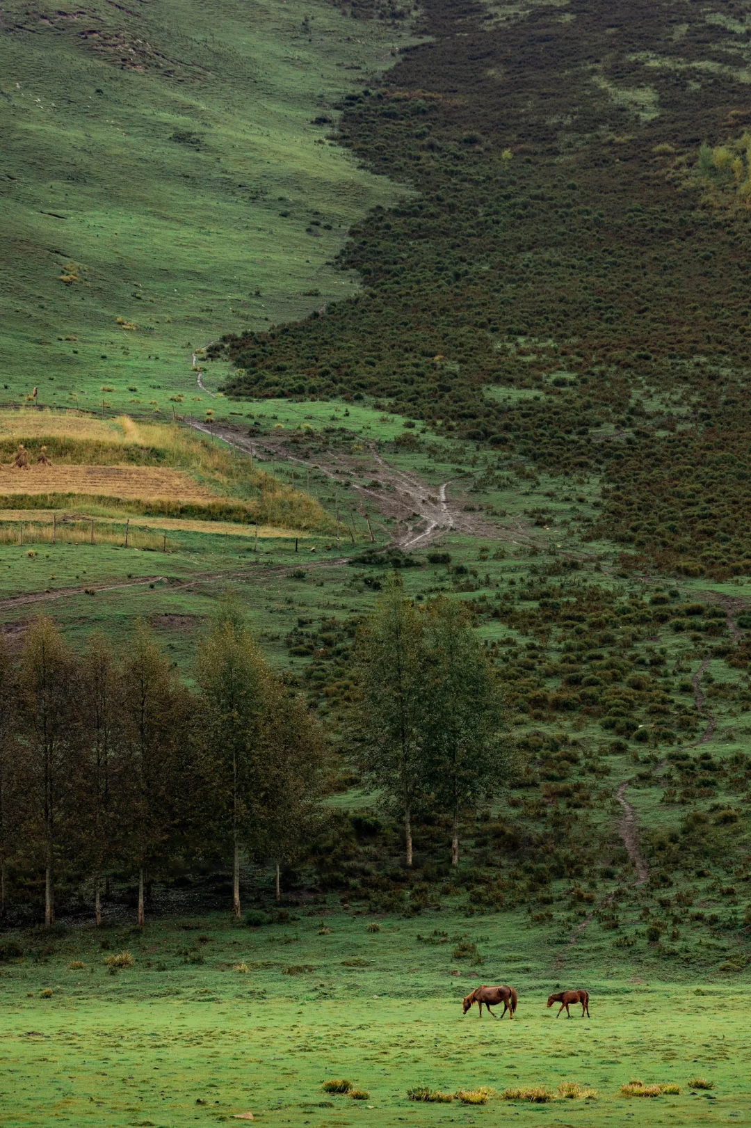 兰州怎么玩 这条绝美路线一定一定要去