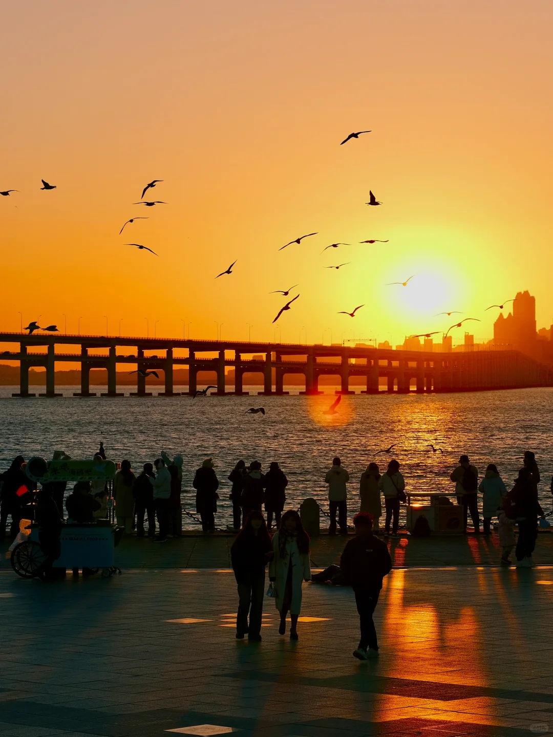 海边城市才有的lalaland…美在了我的心尖上