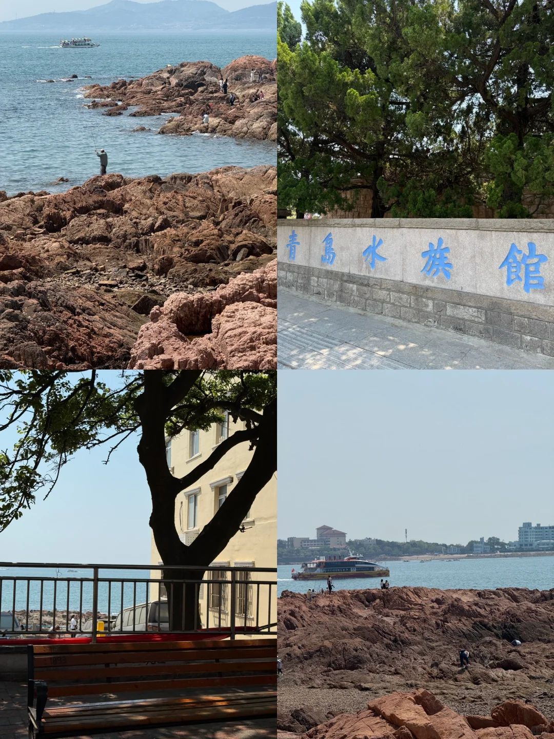 青岛已回‼花6小时总结的旅游攻略😭听劝！