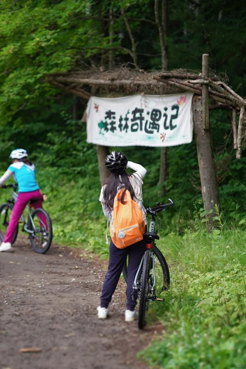 暑假第一件事：带娃去22℃的长白山过夏天