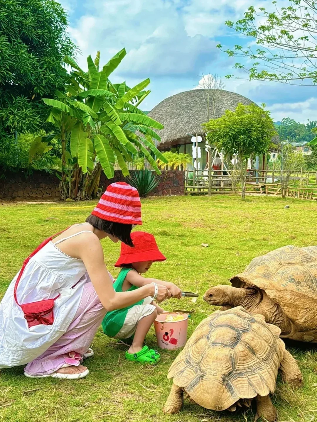 人生建议:这个夏天一定要带孩子来一趟崇左