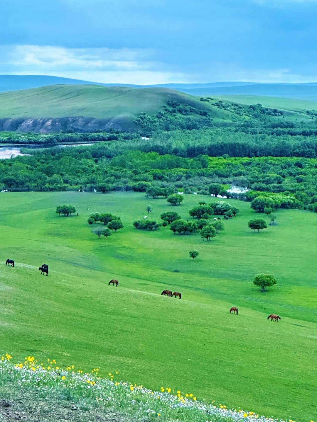 实拍！呼伦贝尔这18张live图我能记一辈子🥺