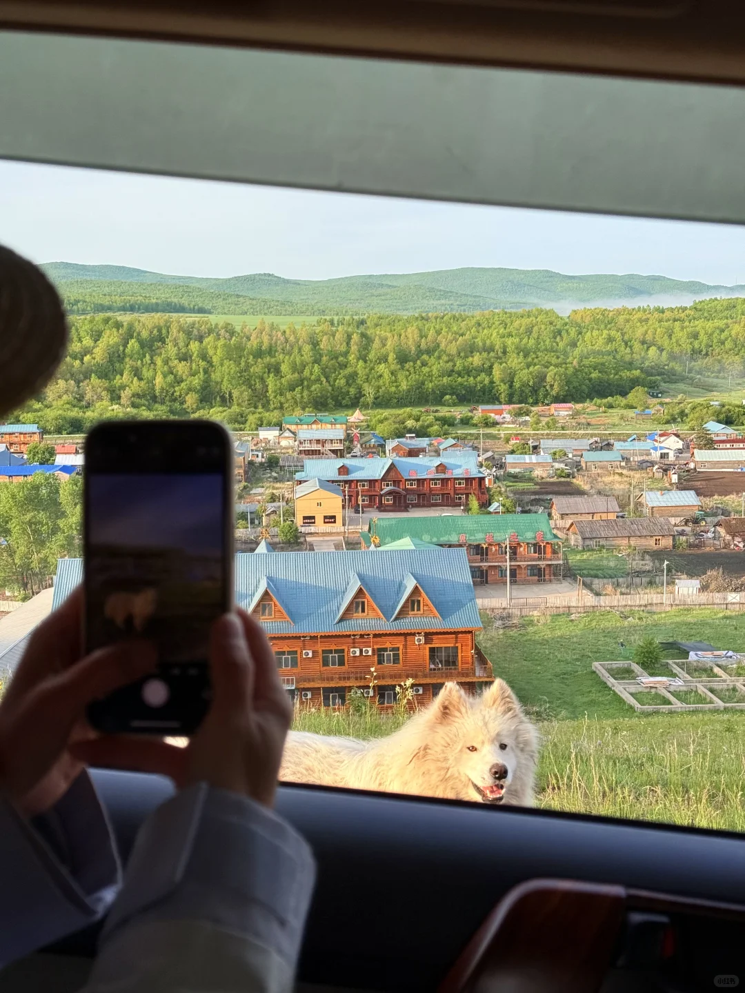 18张live！初夏的呼伦贝尔杀疯了！！！