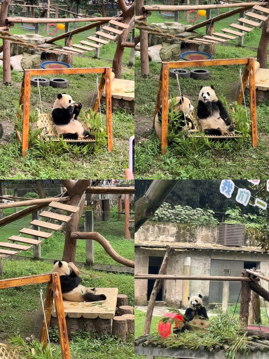 ✨一不小心到了重庆🌉