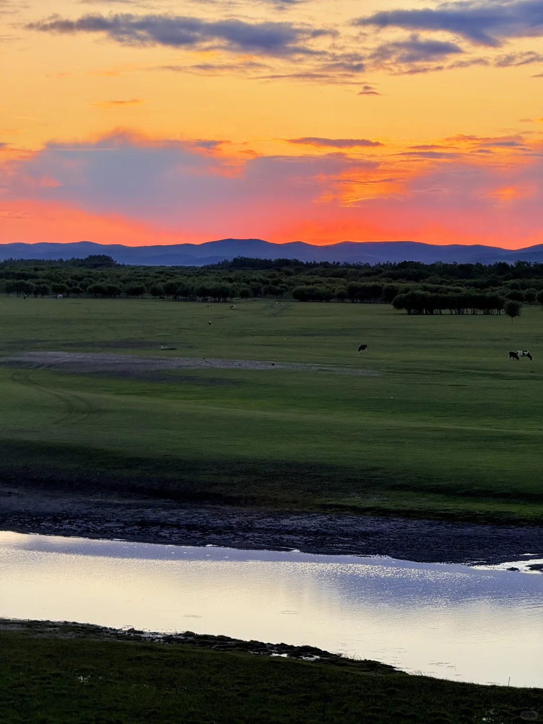 18张live！初夏的呼伦贝尔杀疯了！！！