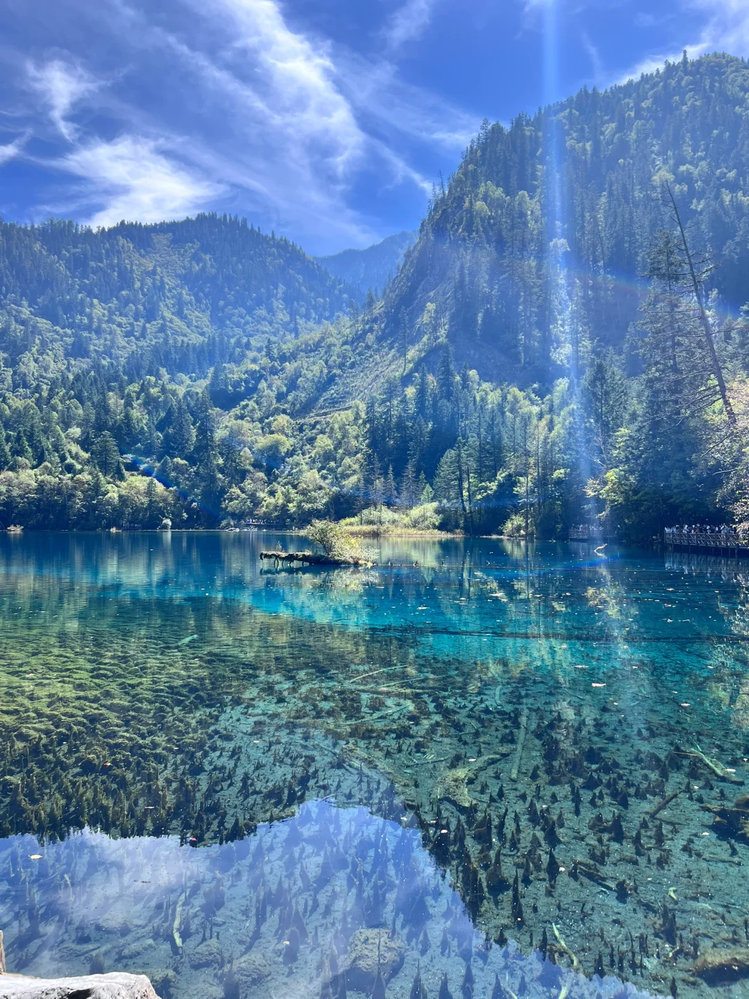 在九寨沟💙见证了一场蓝色的盛宴