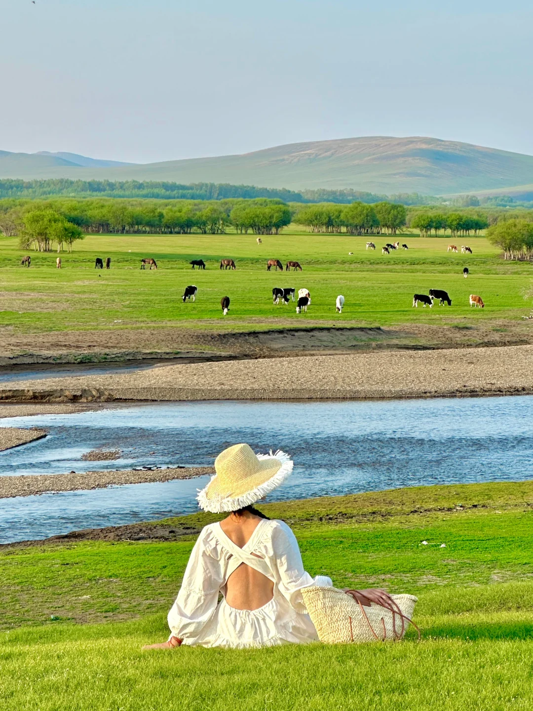 为了这18张live图，专门飞了趟呼伦贝尔…