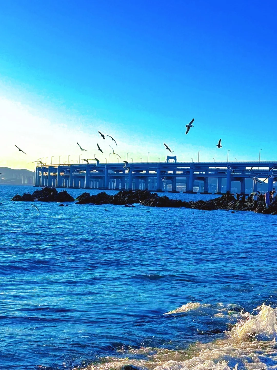 迄今为止，我最喜欢的海边城市出现了