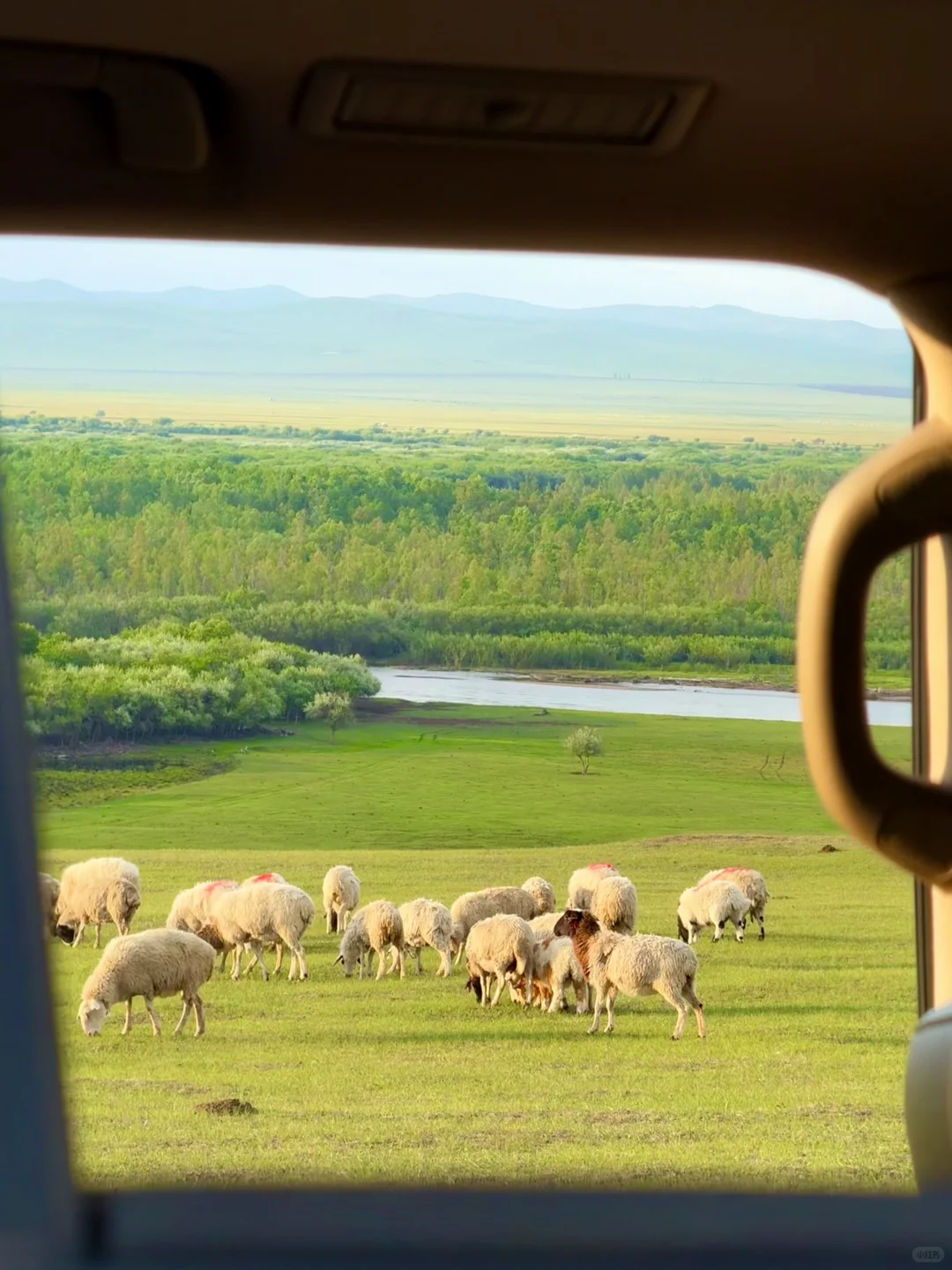 最终,我还是一个人“抛夫弃子”来到呼伦贝尔