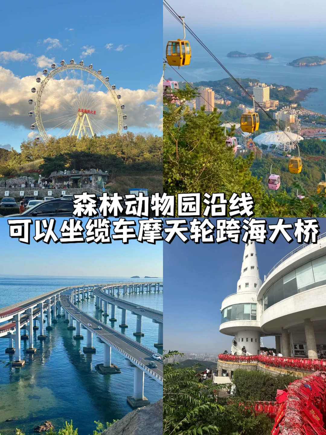 5-8月的大连美到没朋友！感受一下滨城浪漫