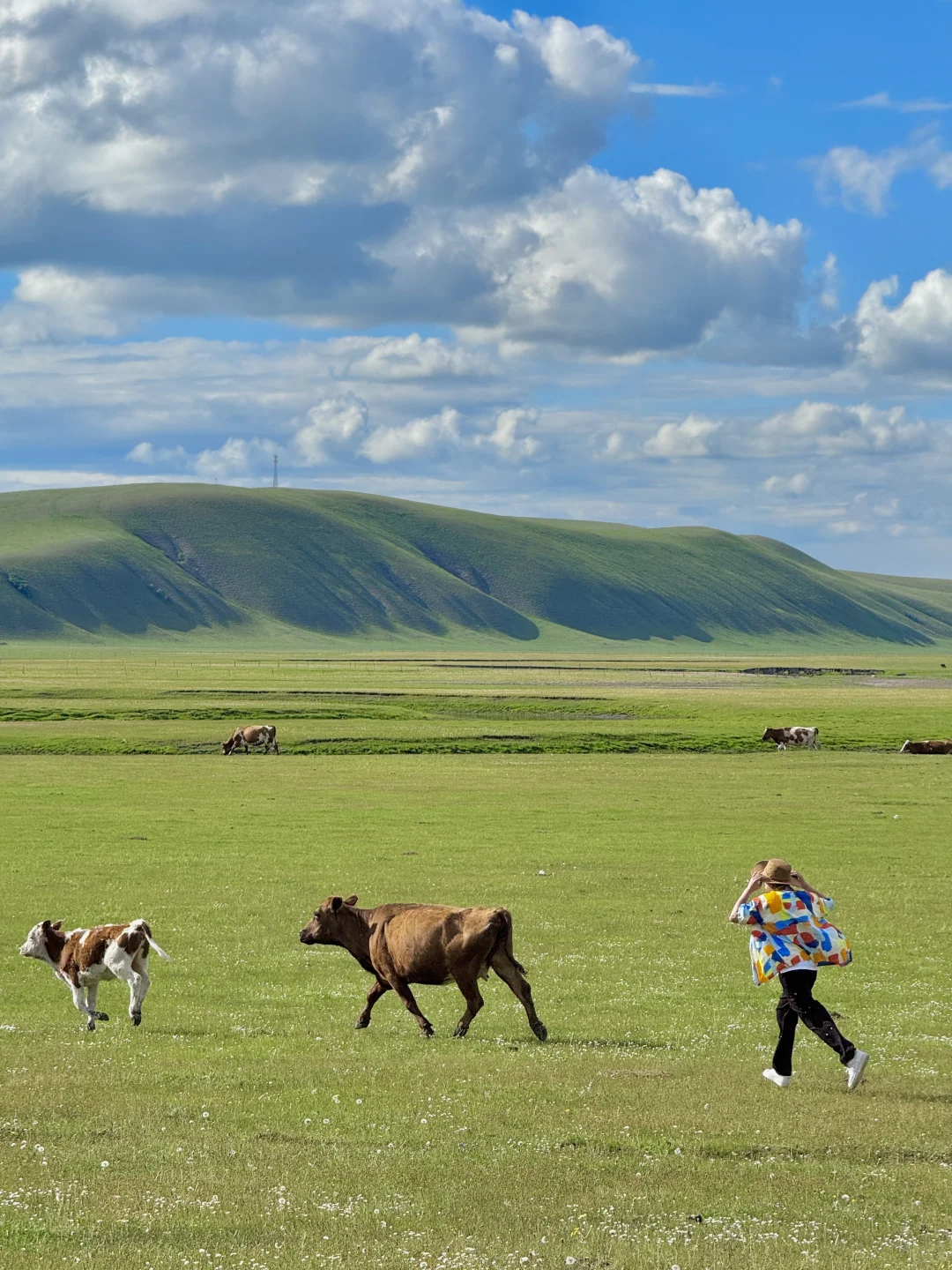 Live图的意义，呼伦贝尔第一天就美哭了😢😢