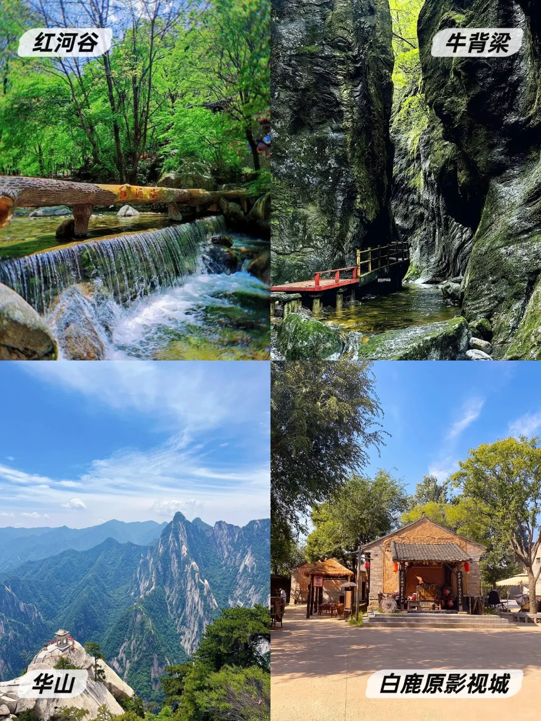 2025年高考生福利！陕西这些景区免费玩！