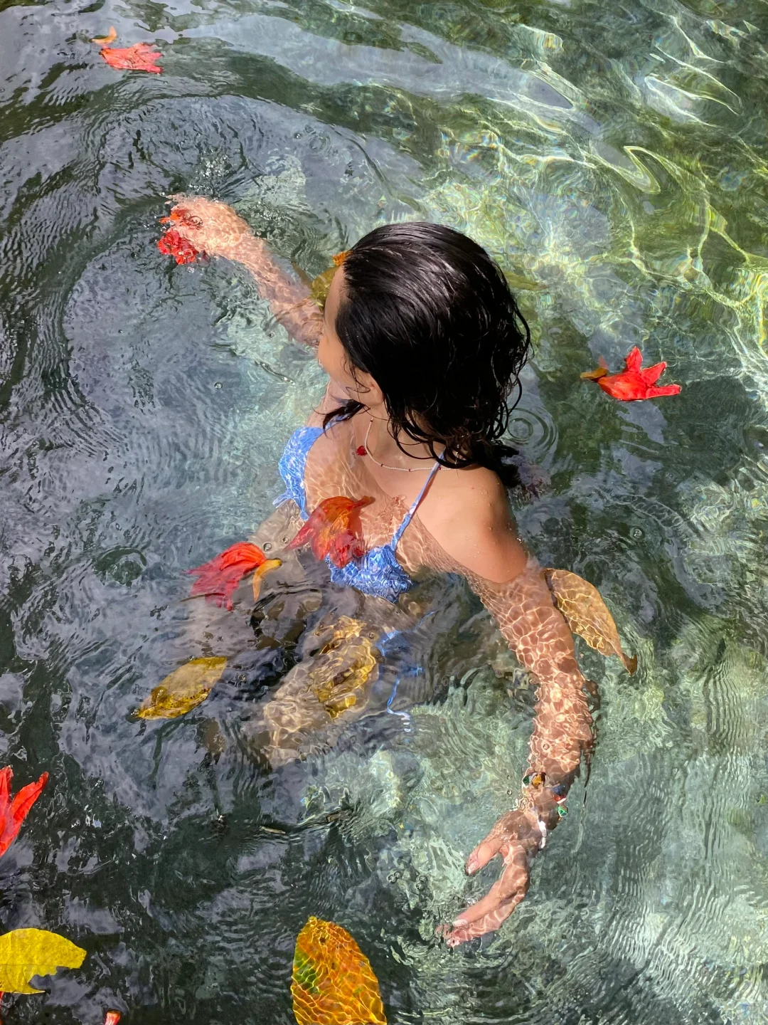 🌸误入人间仙境🍃