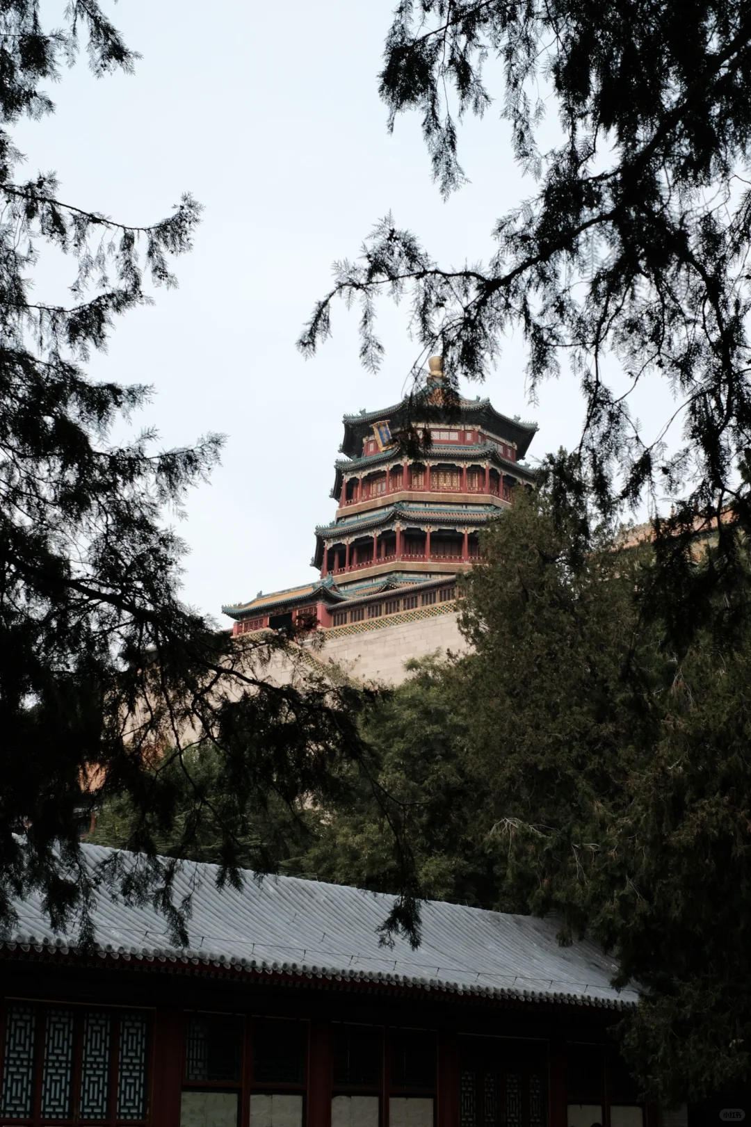 solo trip目的地推荐（国内版