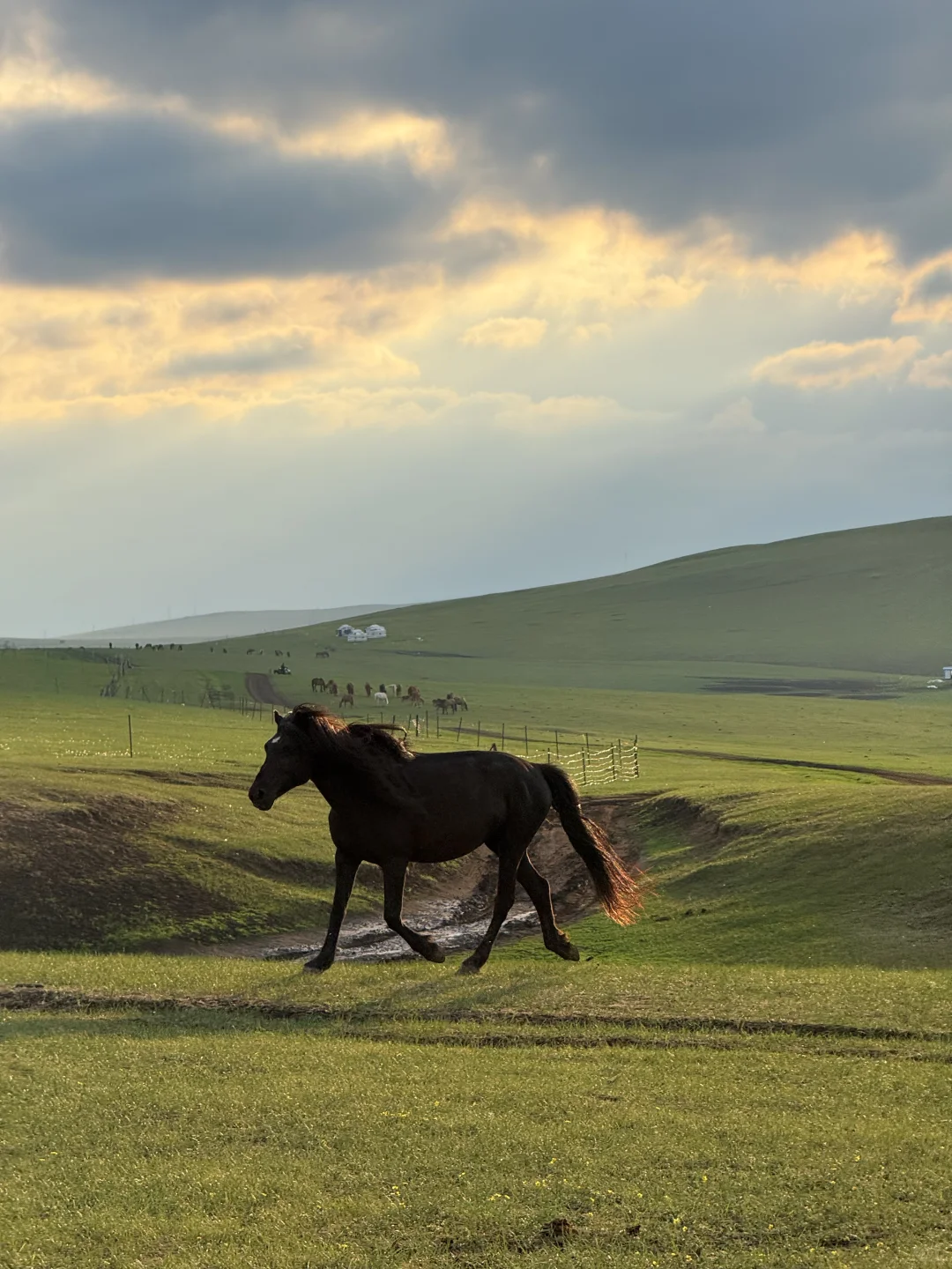 最终,我还是一个人“抛夫弃子”来到呼伦贝尔