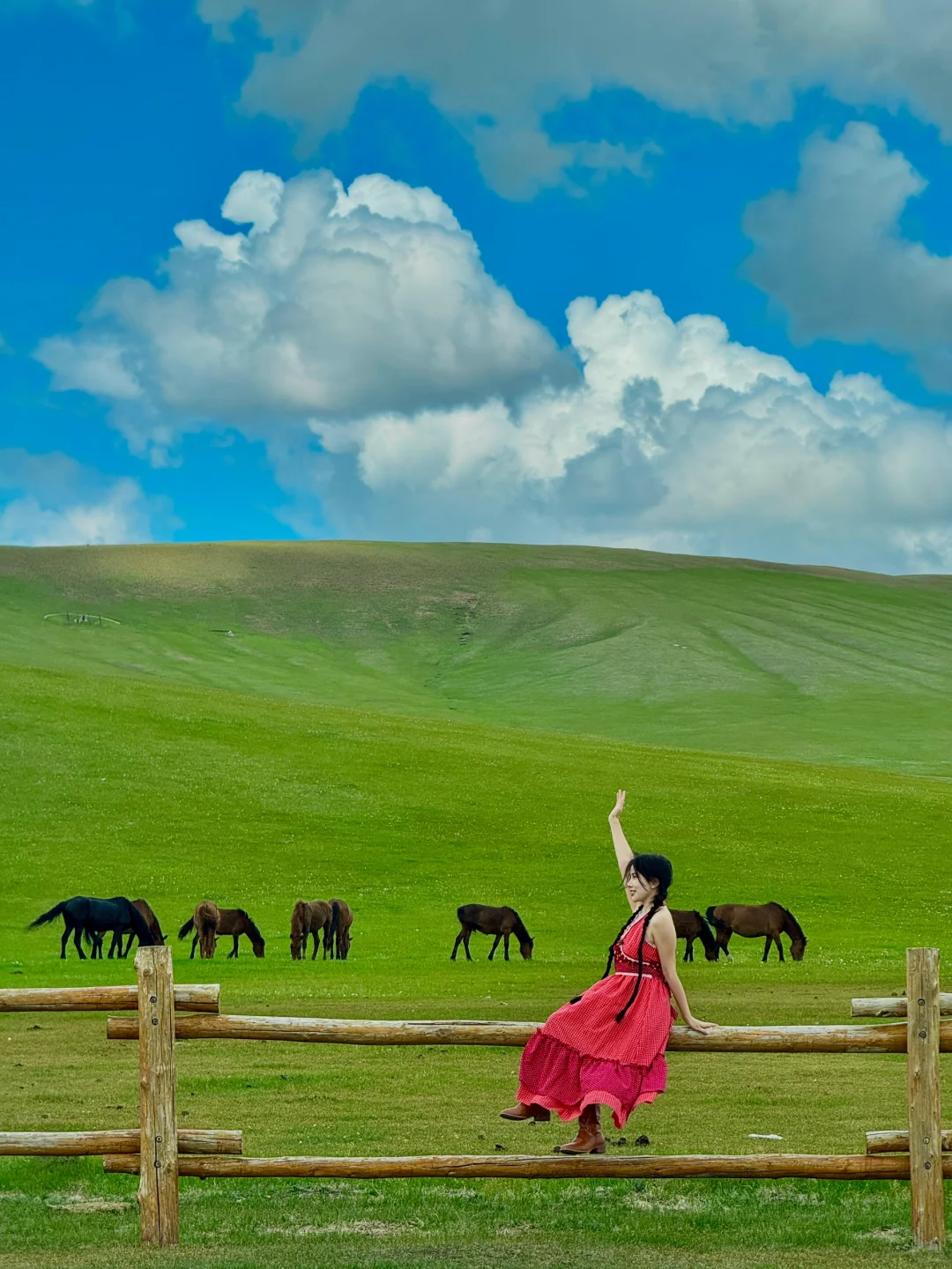 用18张live图打开呼伦贝尔的夏天，附路线🗺