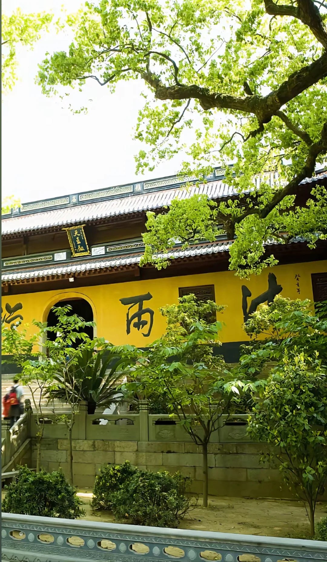 邯郸到普陀山大巴旅游团旅游真实体验！