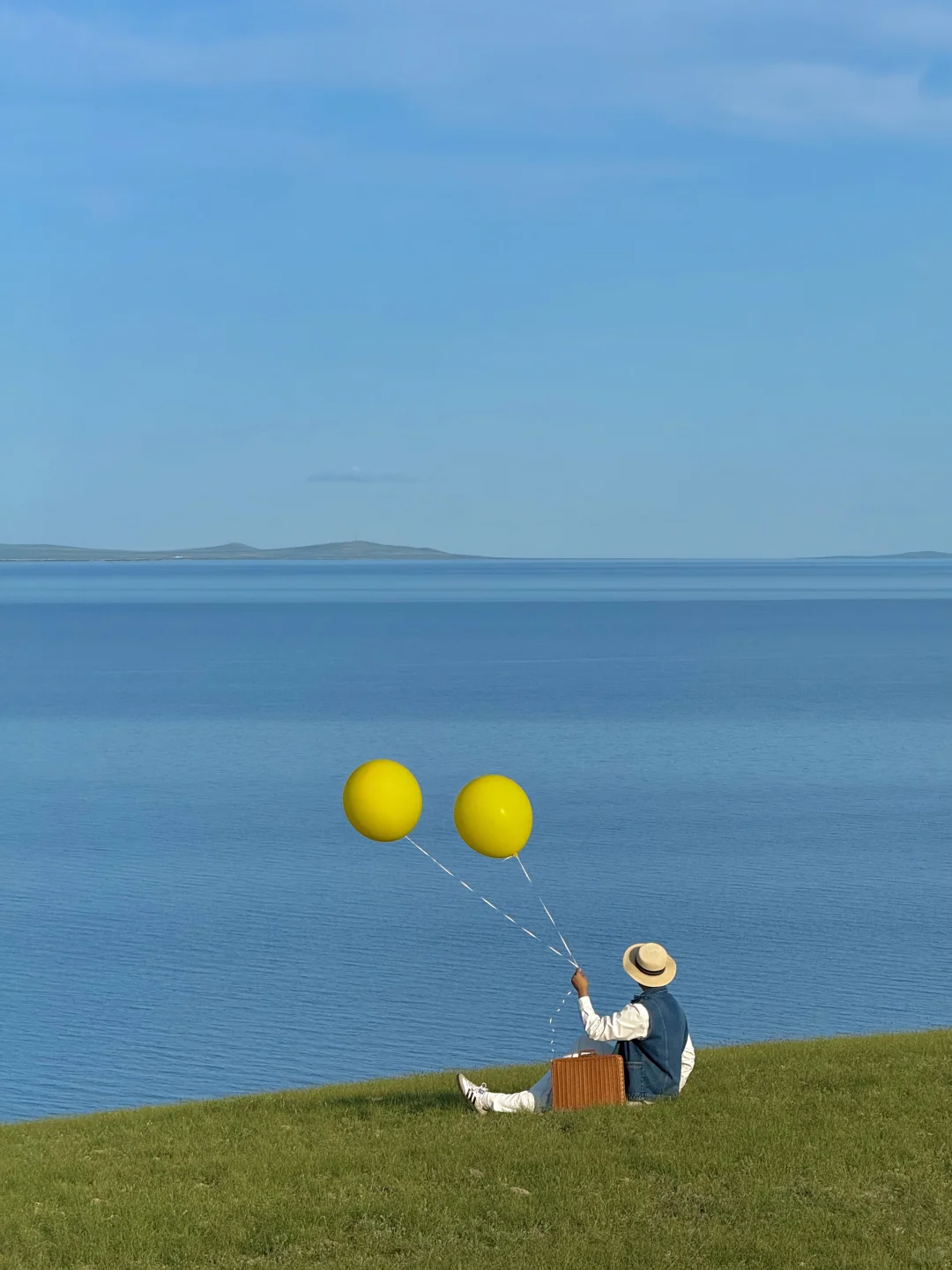 Live｜不敢相信，海的尽头是草原～