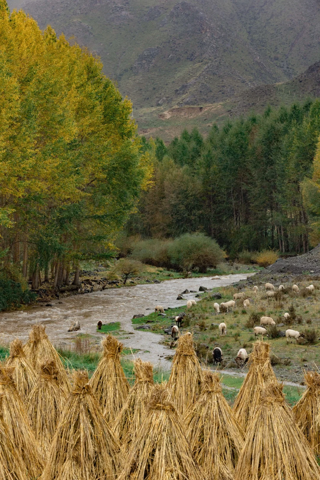 兰州怎么玩 这条绝美路线一定一定要去