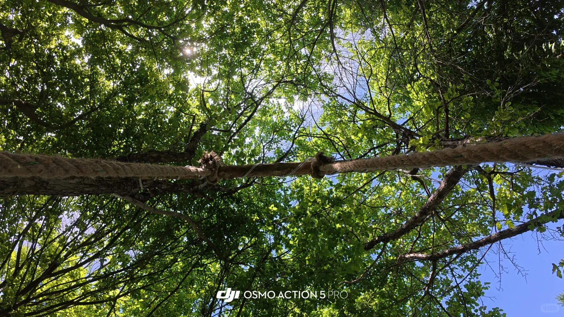 人均5000多,不早起不熬夜,详细路线攻略