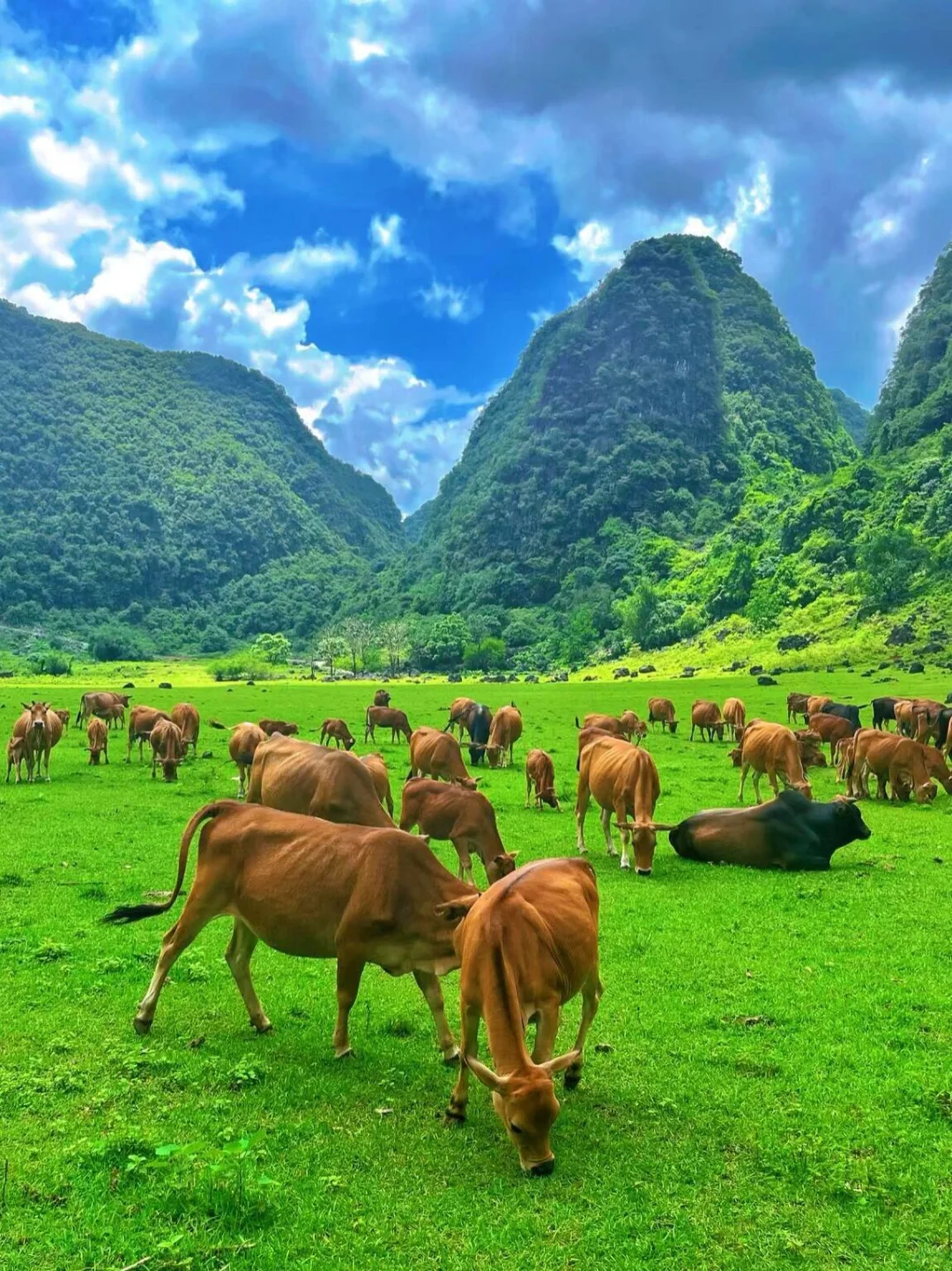 阳朔，刚退房！感谢赵露思😭😭美哭了