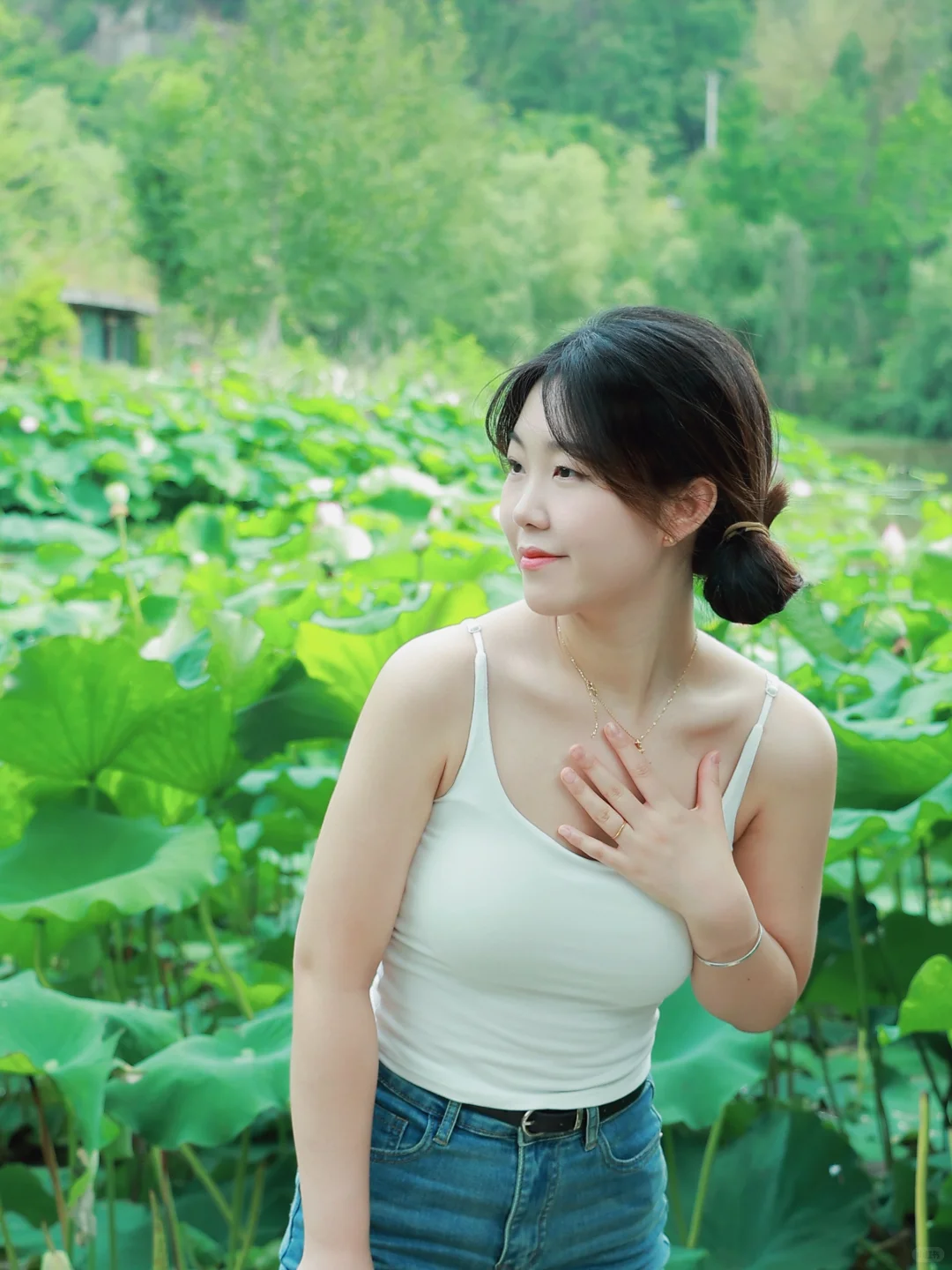 在荷塘里拍到了人生照片荷花池荷花