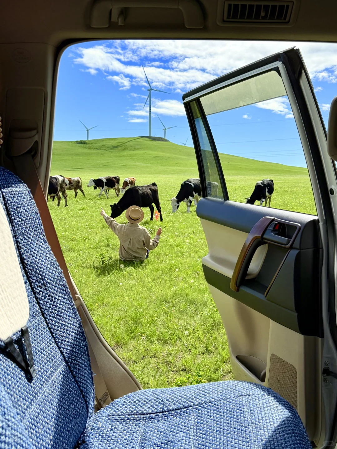 18张live！初夏的呼伦贝尔杀疯了！！！