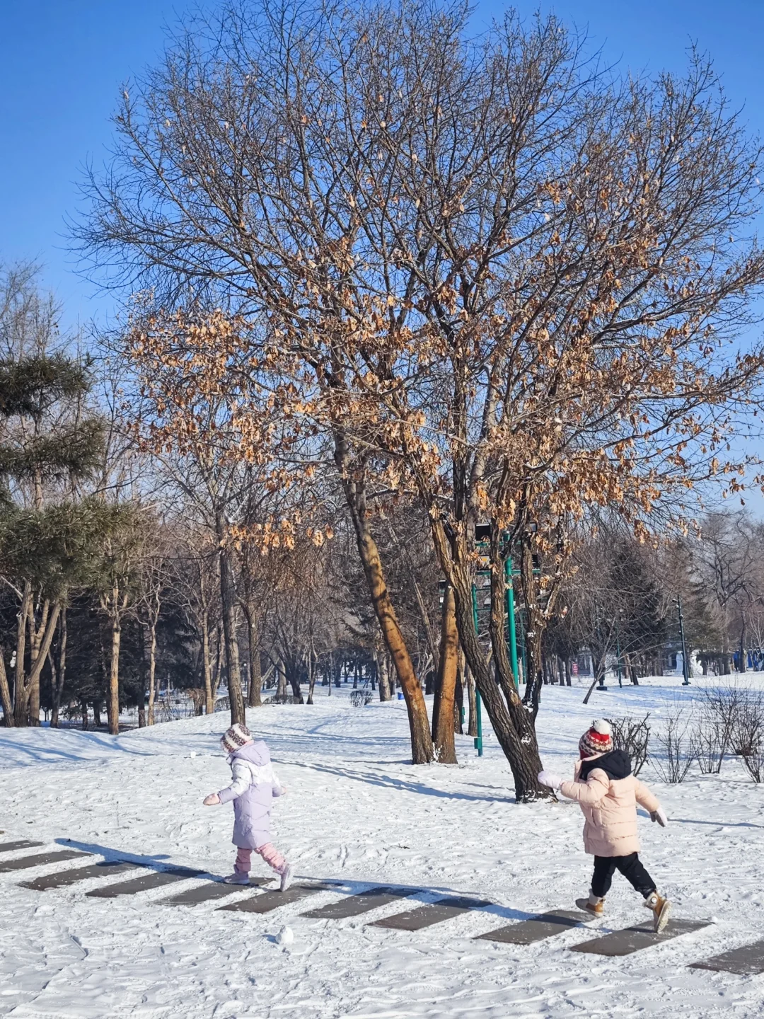 6年亲子游：娃眼里最好玩的6个地方