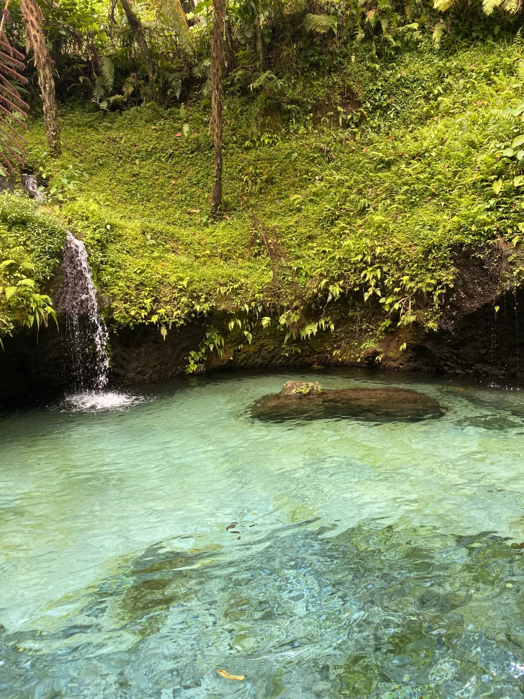 🌸误入人间仙境🍃