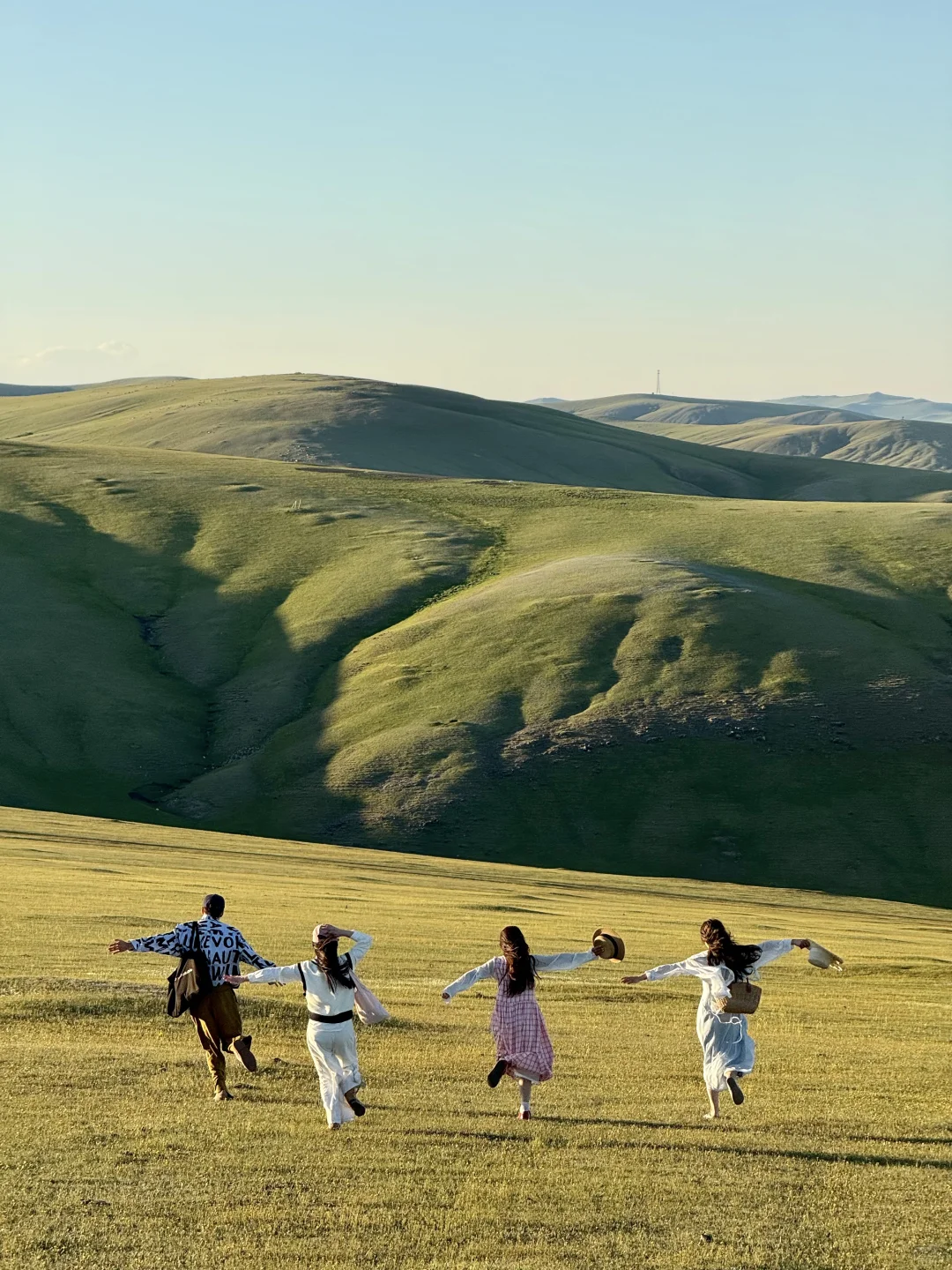 live图 不敢相信，草原的尽头是大海～