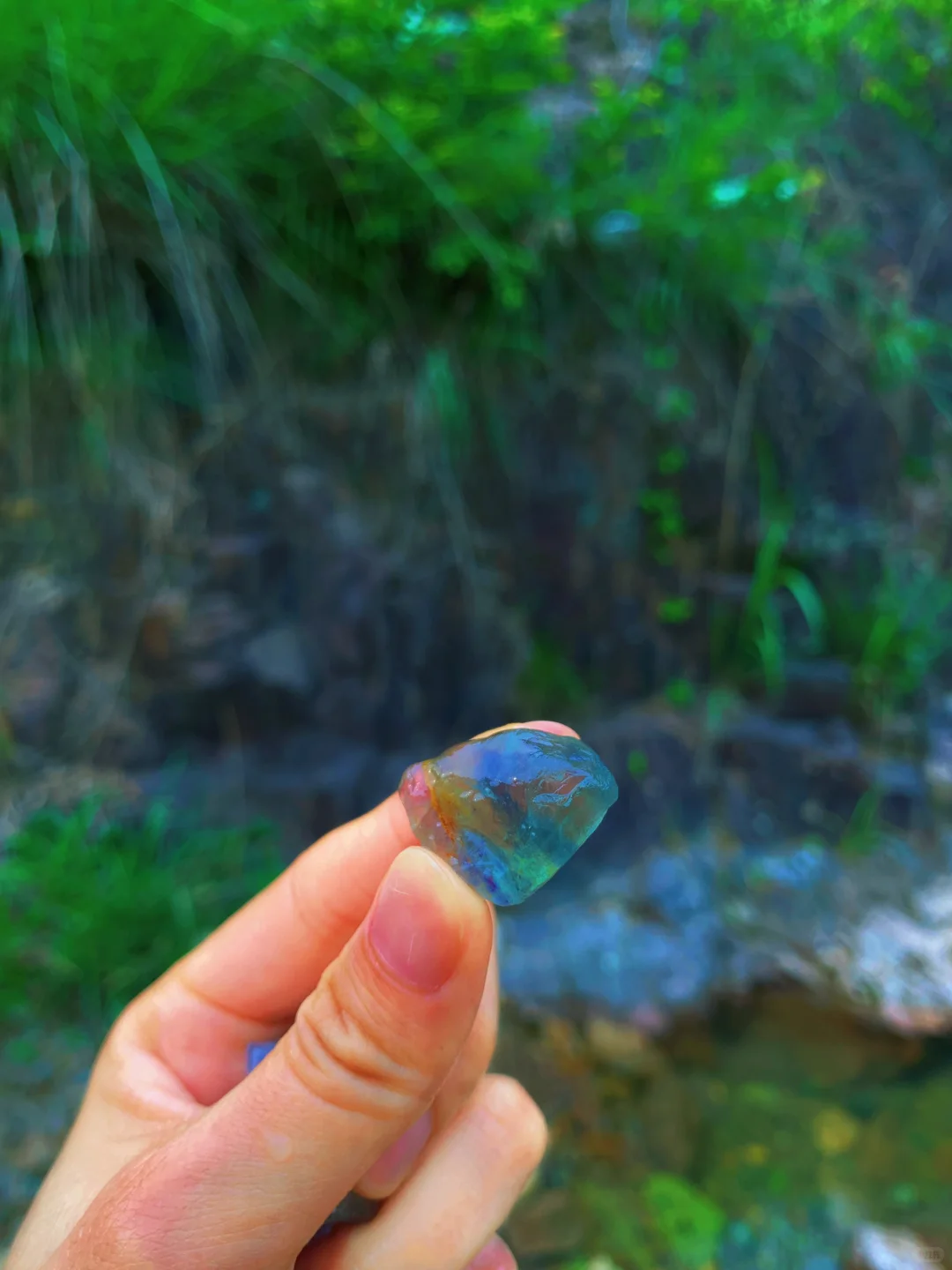 嵊州这里超多💎宝石可捡 | 亲子遛娃好去处