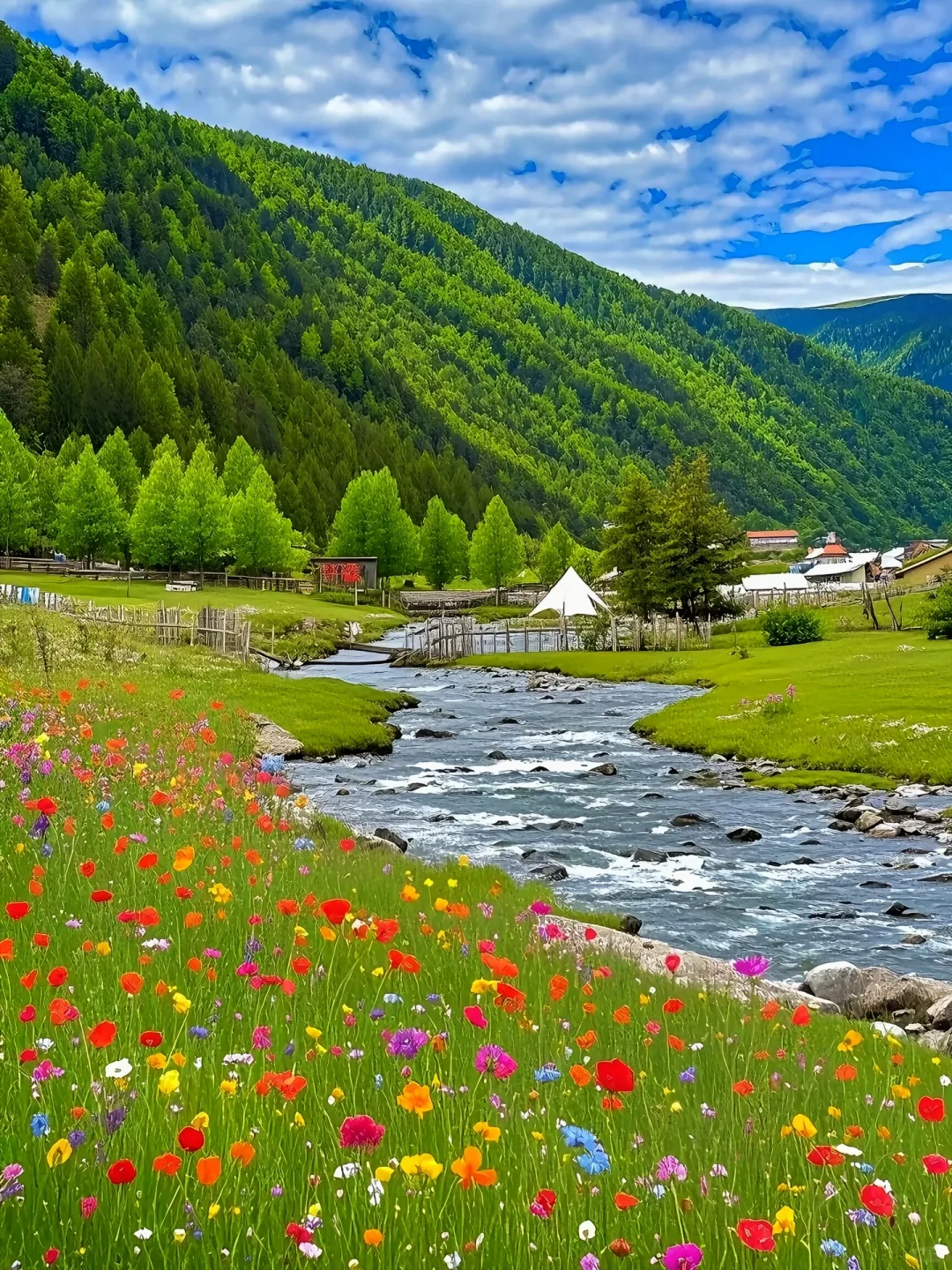 答应我‼️这辈子不要放弃去川西💐🐑……