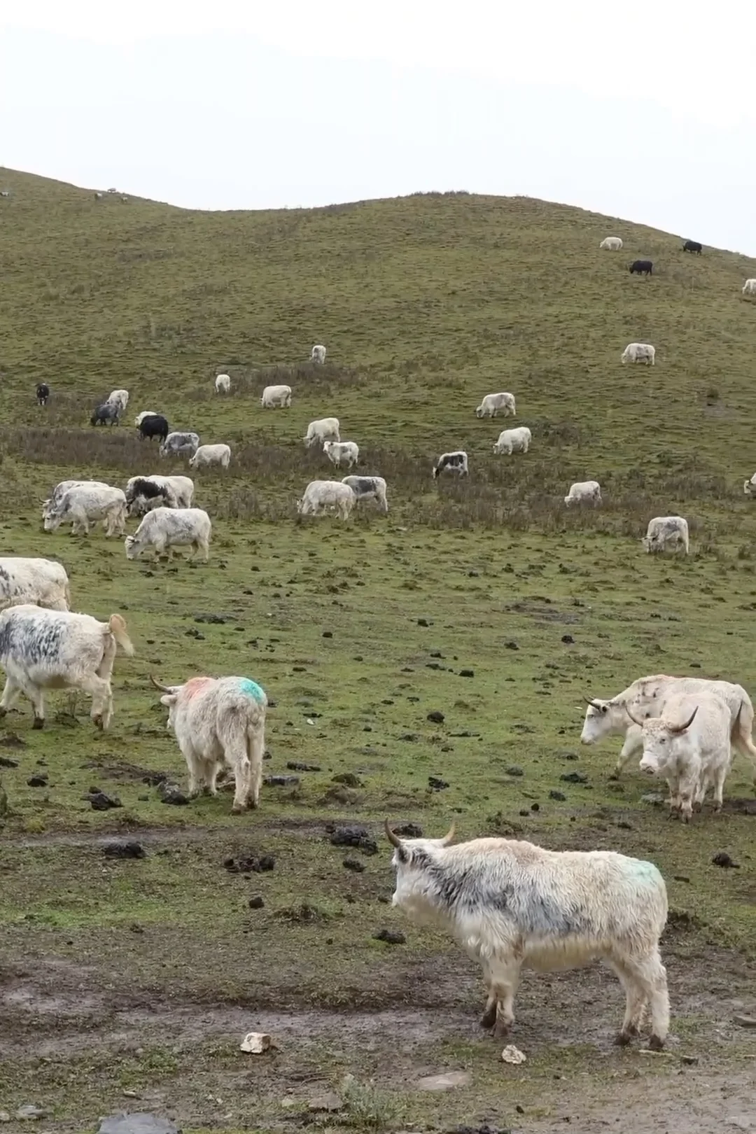 兰州怎么玩 这条绝美路线一定一定要去
