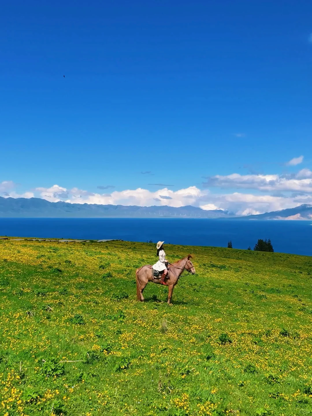 在赛里木湖拍到了我的人生live